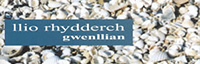 Llio Rhydderch