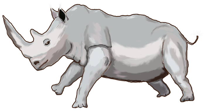 Rhinoceros