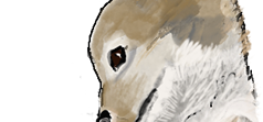 Wolf Cub