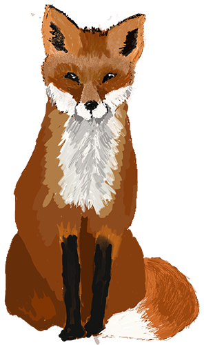 Red Fox