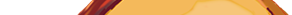 Fossil Bee in Amber